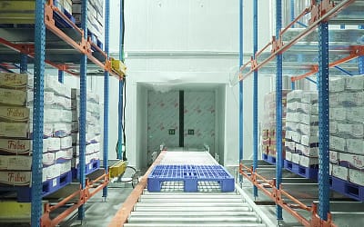 How 4-Way Pallet Shuttle Technology Empowers Cold Chain Warehousing