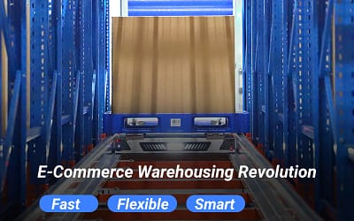 E-Commerce Warehousing Revolution — Fast, Flexible, and Smart